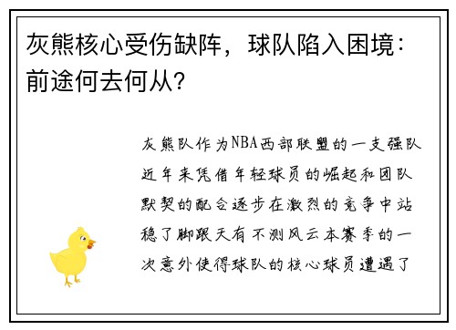 灰熊核心受伤缺阵，球队陷入困境：前途何去何从？