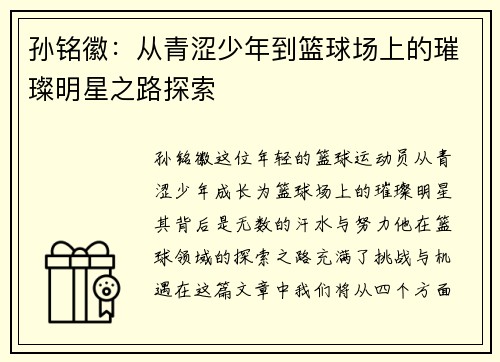 孙铭徽：从青涩少年到篮球场上的璀璨明星之路探索