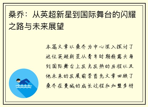 桑乔：从英超新星到国际舞台的闪耀之路与未来展望