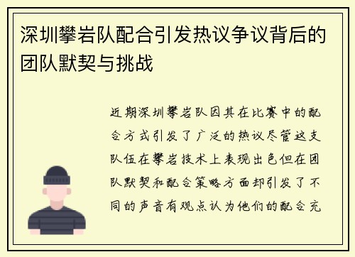 深圳攀岩队配合引发热议争议背后的团队默契与挑战